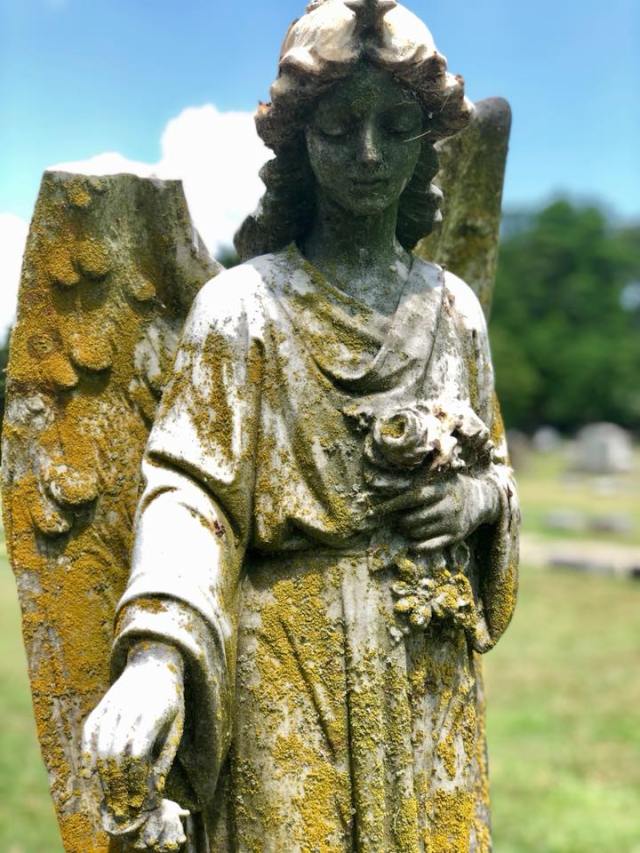 35628559_2564366030255746_6656571092523548672_n