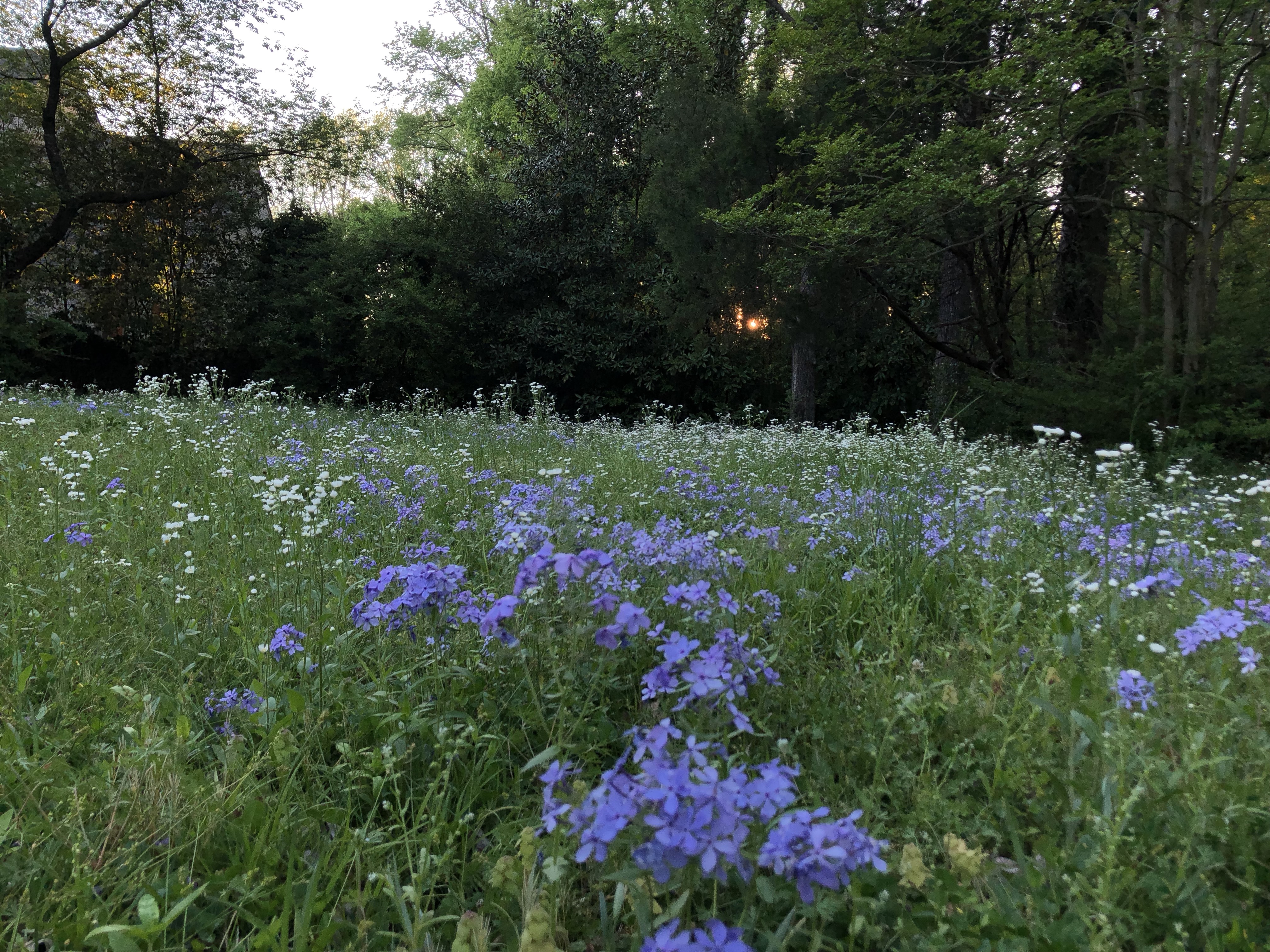 UojP+sipSOSP+CQ6TL5Xag