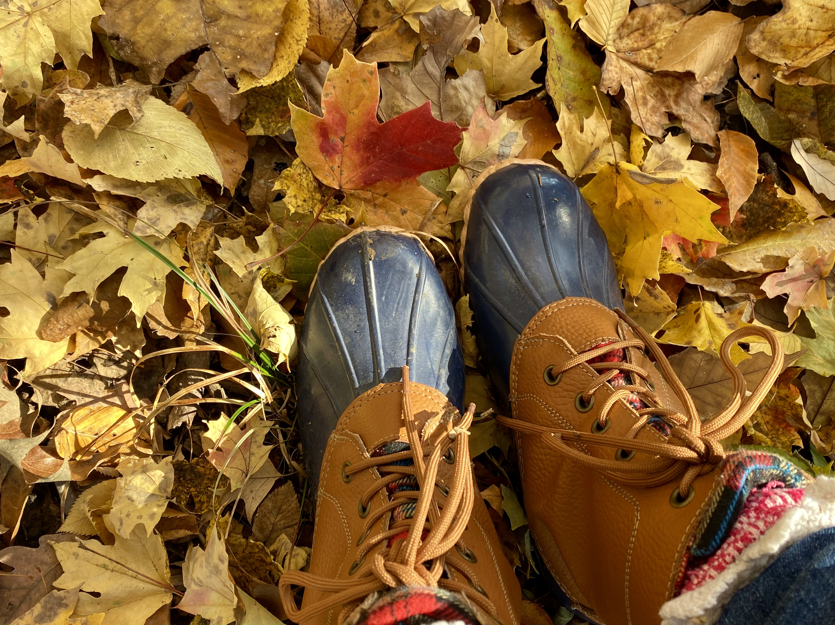 0EADAB39-8262-4D87-BE41-7178AFD1DD4C_1_201_a