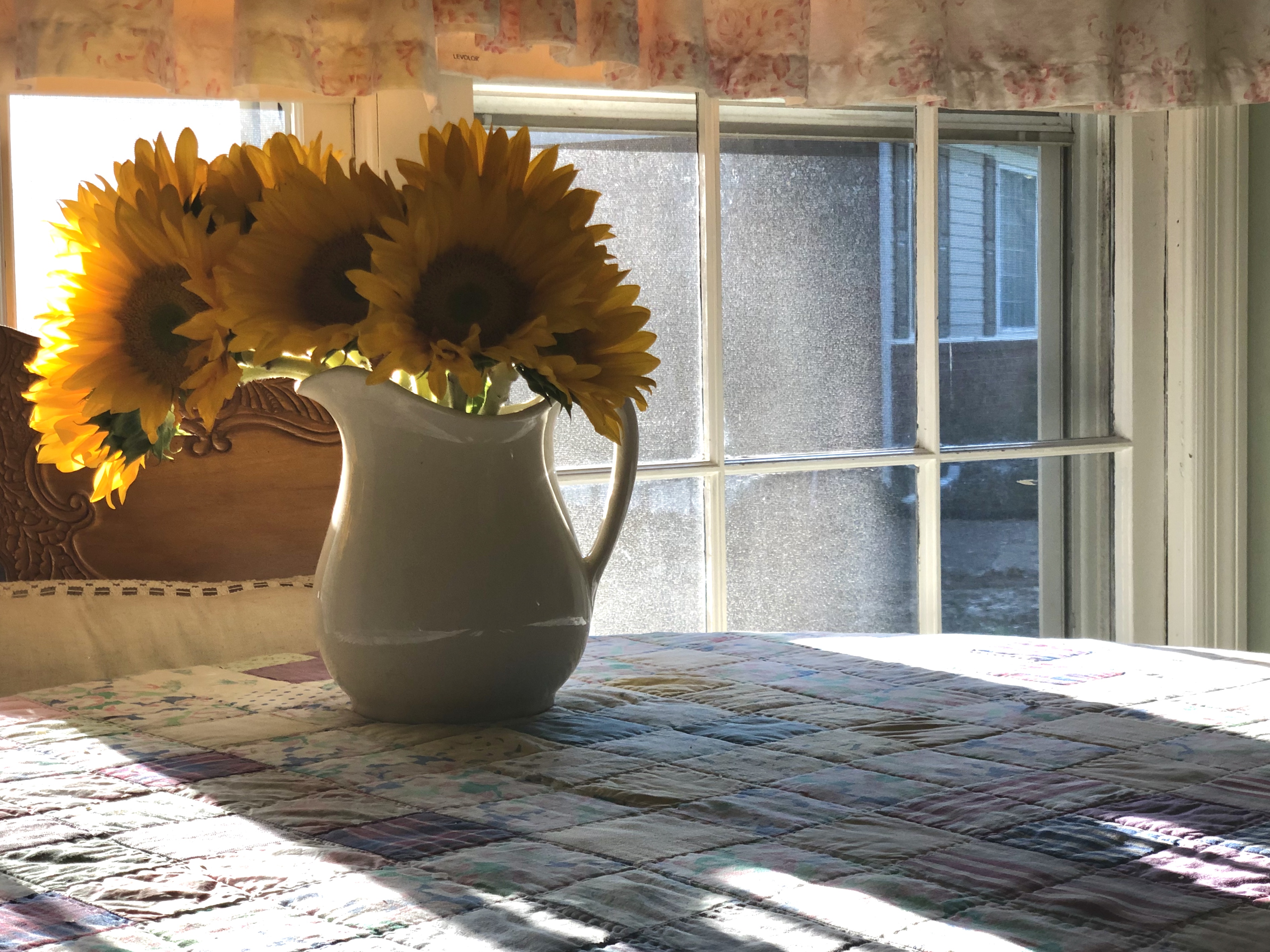 F231E78F-3FB0-4408-A8EF-9DB007DE36F8