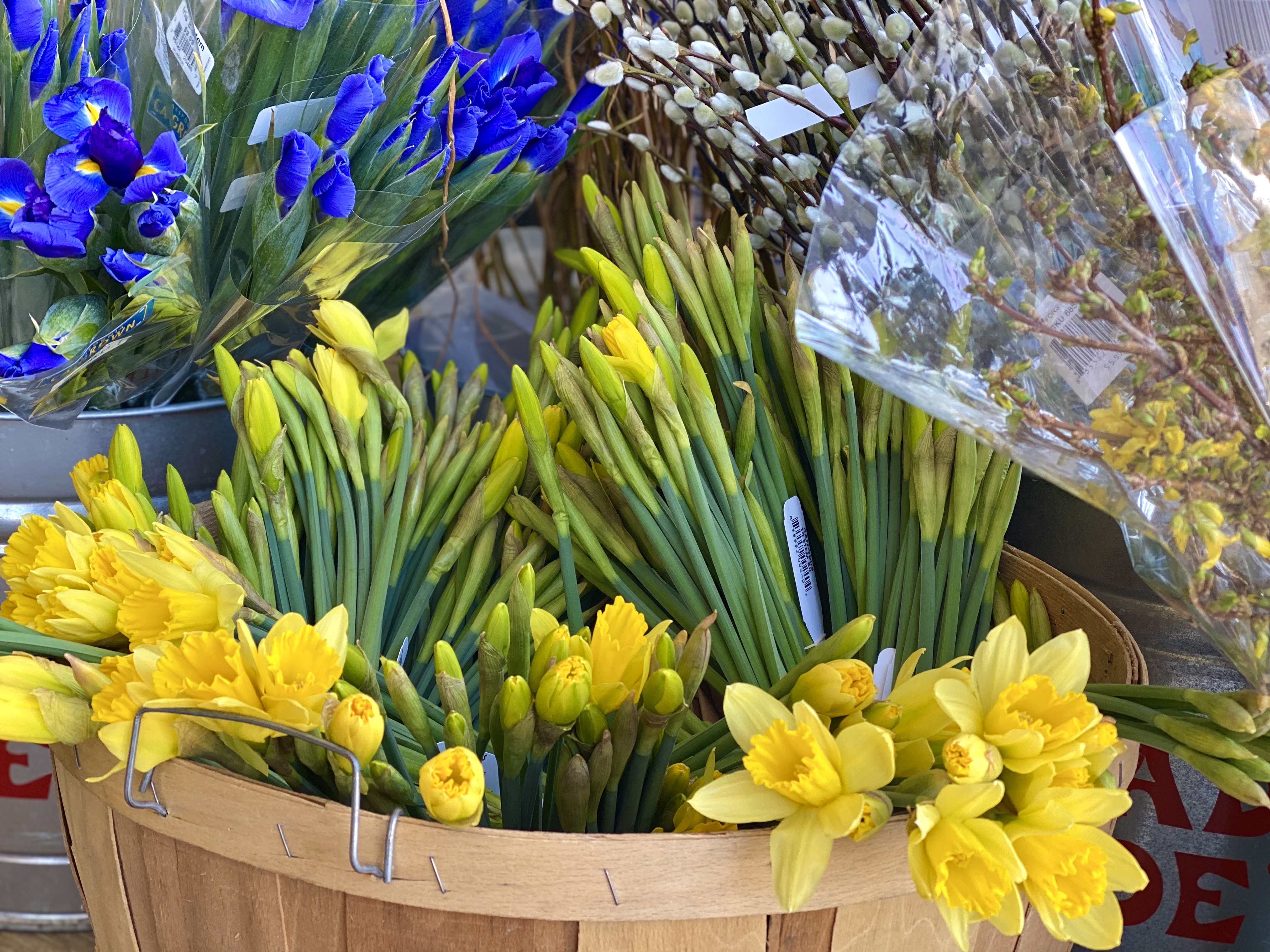 E74F91F6-6CC1-449B-99B5-F6DBAC100489_1_201_a