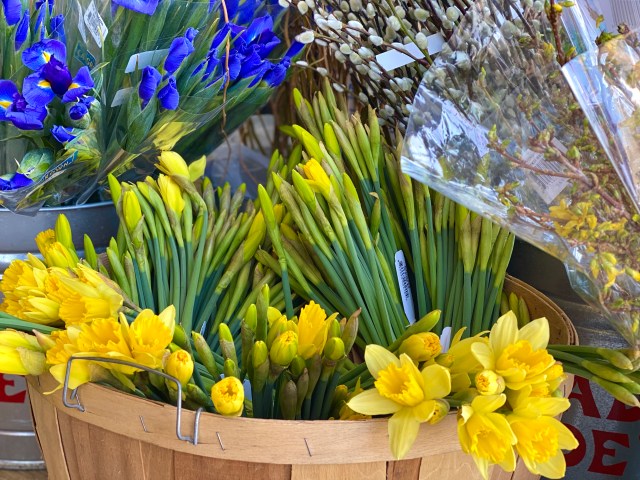 E74F91F6-6CC1-449B-99B5-F6DBAC100489_1_201_a